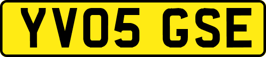 YV05GSE