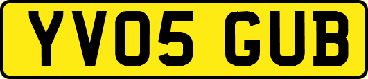 YV05GUB