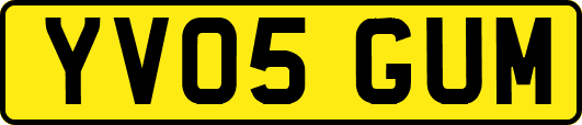 YV05GUM