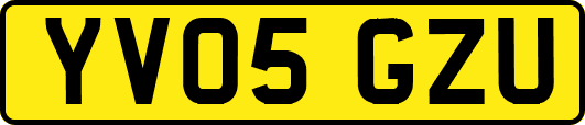 YV05GZU