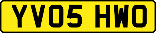 YV05HWO