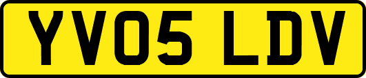 YV05LDV