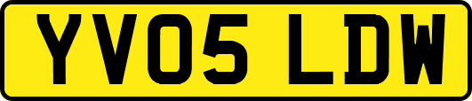 YV05LDW
