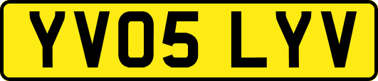 YV05LYV