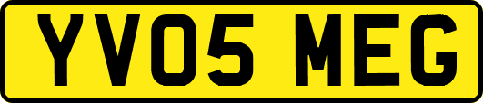 YV05MEG