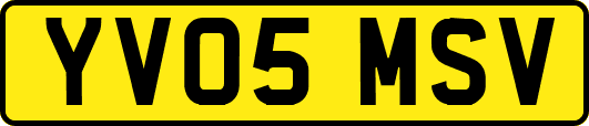 YV05MSV
