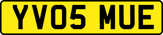 YV05MUE
