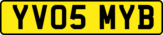 YV05MYB