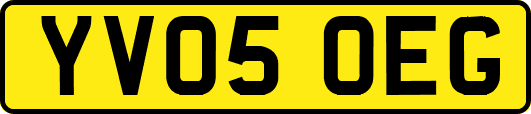 YV05OEG