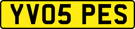 YV05PES