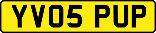 YV05PUP
