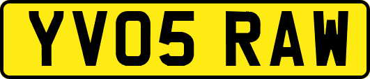 YV05RAW