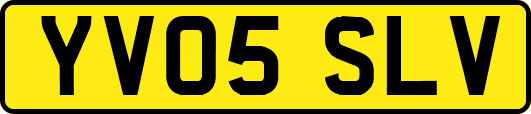 YV05SLV