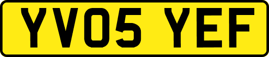 YV05YEF