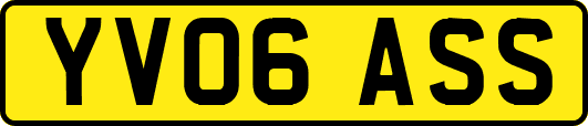 YV06ASS