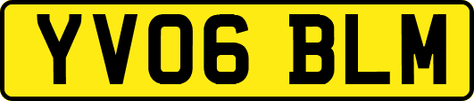 YV06BLM