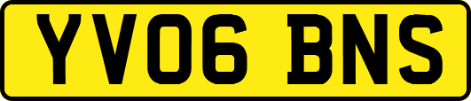 YV06BNS