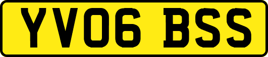 YV06BSS