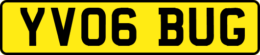 YV06BUG