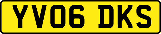 YV06DKS