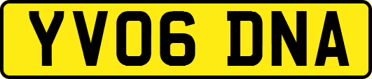 YV06DNA