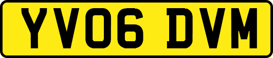 YV06DVM