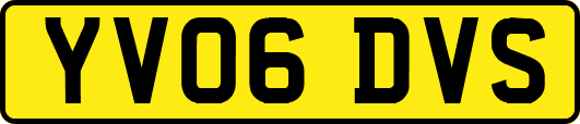 YV06DVS