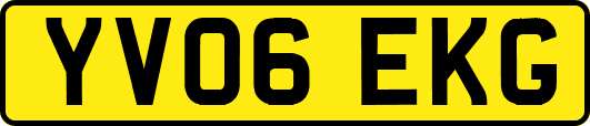 YV06EKG