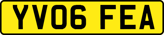 YV06FEA
