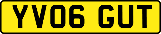 YV06GUT