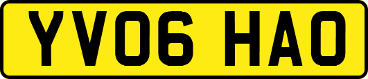 YV06HAO