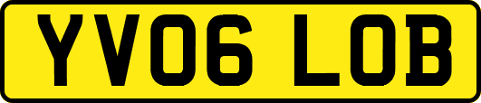 YV06LOB