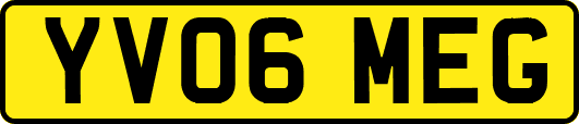 YV06MEG