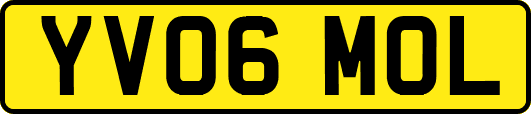YV06MOL