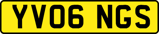YV06NGS