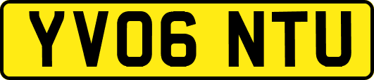 YV06NTU