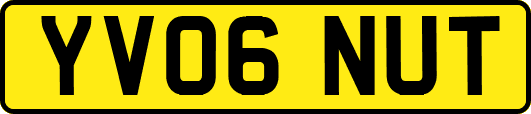 YV06NUT
