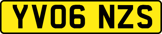 YV06NZS