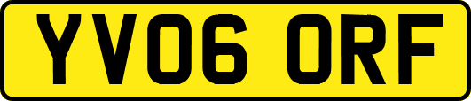 YV06ORF