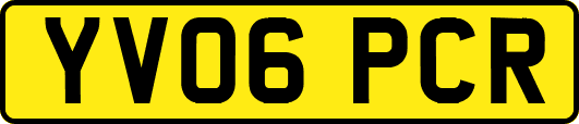 YV06PCR