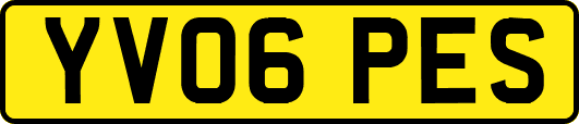YV06PES