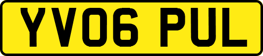 YV06PUL