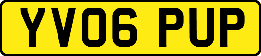 YV06PUP