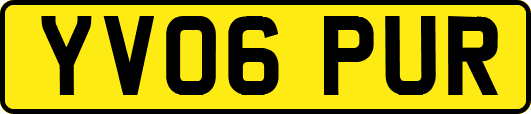 YV06PUR