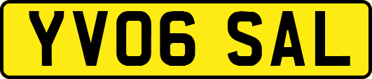 YV06SAL