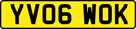 YV06WOK