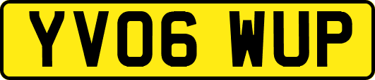 YV06WUP
