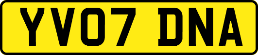 YV07DNA