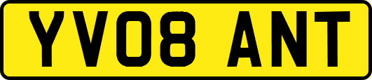 YV08ANT