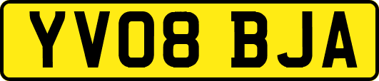YV08BJA